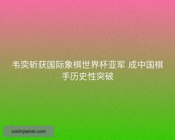 韦奕斩获国际象棋世界杯亚军 成中国棋手历史性突破
