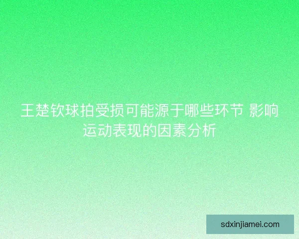 王楚钦球拍受损可能源于哪些环节 影响运动表现的因素分析 王楚钦球拍受损可能源于哪些环节 影响运动表现的因素分析